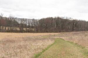 diese schön Gehen Pfad war Schnitt durch das Feld. das Grün, gut gepflegt Rasen Stehen aus unter alle das braun hoch Gras. diese Weg Köpfe durch ein Natur konserviert um ein bewaldet Bereich. foto