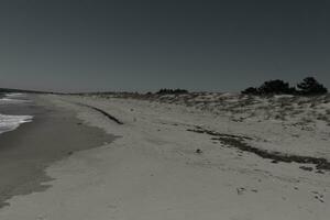 schön Strand im Kap kann Neu Jersey. braun Sand alle Über mit Fußabdrücke alle um. Grün Dünen gezeigt beim das oben. ziemlich Blau klar Himmel über. foto