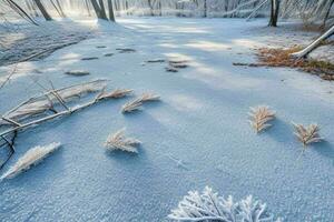 eisig gefallen Blätter mit glänzend Eis Frost im schneebedeckt Wald Park. Hintergrund. ai generativ Profi Foto