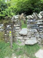 ein Aussicht von das See Kreis beim orrest Kopf in der Nähe von Windermere foto