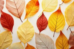 malerisch Rahmen Herbst Blätter Wald. generieren ai foto