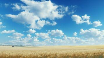 ein von ein Feld mit Wolken und ein Blau Himmel foto