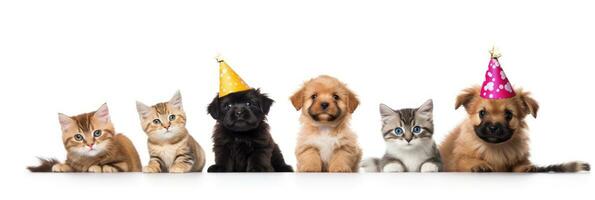 süß Hunde und Katzen auf Geburtstag Banner. generativ ai foto