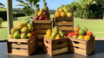 frisch gepflückt matoa Obst von Garten platziert im das Boxen. generativ ai foto