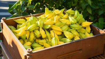 frisch gepflückt Karambola Obst von Garten platziert im das Boxen. generativ ai foto