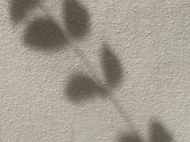 Blätter Schatten Hintergrund auf Beton Mauer Textur, Blätter Baum Geäst Schatten mit Sonnenlicht foto