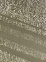 Blätter Schatten Hintergrund auf Beton Mauer Textur, Blätter Baum Geäst Schatten mit Sonnenlicht foto