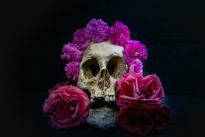 Mensch Schädel mit Rosen zum Tag von das tot foto