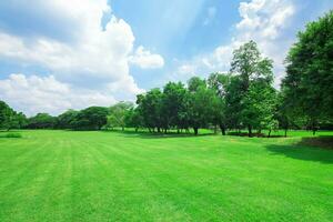 ein groß Rasen im das Park, wachirabenchathat Park foto