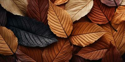 ai generativ. Nahansicht Herbst trocken Blatt texturiert Hintergrund. erstellt mit ai Werkzeuge foto
