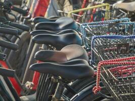 Fahrrad Detail im porquerolles Insel Frankreich Panorama Landschaft foto