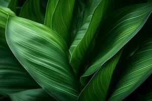 abstrakt tropisch Blätter Textur, Natur Hintergrund, tropisch Blatt. ai generiert foto