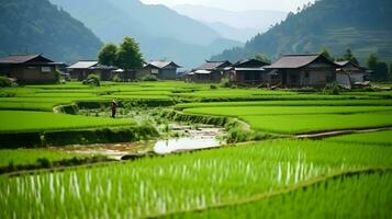 Chinesisch ländlich Bereich, reifen Reis ai generieren foto