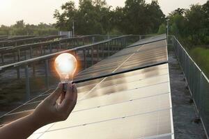 Solar- Panel Alternative ökologisch Technologie zu ersetzen Leistung Pflanzen Solar- Batterien, Tafeln, Solar- Paneele zum das elektrisch Netz. ökologisch freundlich und nachhaltig Energie Industrie. foto