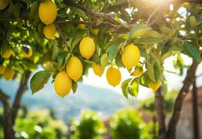 Zitronen wachsend im ein sonnig Garten auf Amalfi Küste im Italien. ai generiert foto