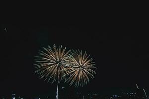 bunt Feuerwerk im das Himmel auf Neu Jahre Vorabend, Rituale zu herzlich willkommen Neu Jahr im jeder Ecke von das Welt, Feuerwerk feiern Neu Jahre Vorabend herzlich willkommen das Neu Jahr. foto