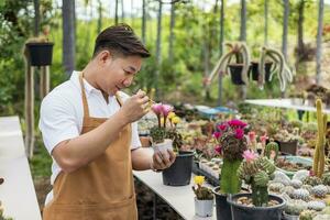 asiatisch Gärtner ist Arbeiten Innerhalb das Gewächshaus voll von Kaktus Pflanzen Sammlung während sich ausbreitend durch Blume Bestäubung zum Samen mit klein Farbe Bürste im Zier Garten und Hobby Konzept foto