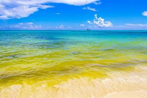 tropischer karibischer strand klares türkisfarbenes wasser playa del carmen mexiko. foto