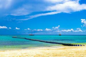 Seetang sargazo Netz Karibik Strand Wasser playa del carmen Mexiko. foto