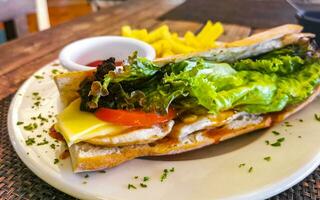 Stangenbrot Sandwich Toast Brot mit Hähnchen Tomate Salat Kartoffeln Fritten. foto