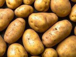 roh organisch Gelb Baby Kartoffeln im ein Schüssel foto