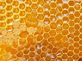 schließen oben Bienenwabe mit Honig. foto
