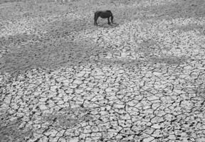 Erfassen Leben schön Momente ein Reise durch Lebensstil Fotografie wo jeder Rahmen erzählt ein Geschichte von Liebe Abenteuer und Authentizität foto