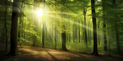 schön Strahlen von Sonnenlicht im ein Grün Wald. generativ ai foto