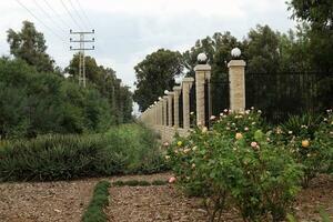 Grün Pflanzen und Blumen wachsen entlang ein Zaun im ein Stadt Park. foto