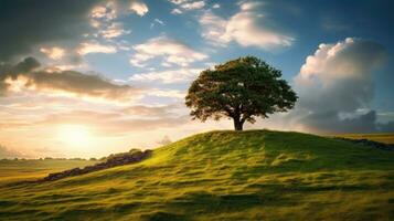 Landschaft Aussicht von einer groß Baum auf das oben von das Hügel mit Grün Gras auf ein Hang mit Blau Himmel und Wolken im das Hintergrund. generativ ai foto