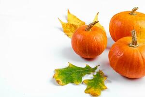 Reife Kürbisse und gefallene gelbe Blätter auf weißem Hintergrund. hallo Herbst. halloween- und erntedanksymbol. foto