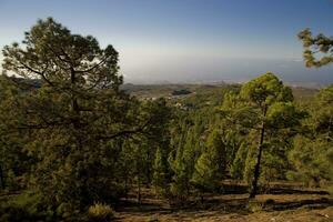 Landschaft von das Kanarienvogel Insel von Tenerife im das Center von das Insel mit ein wolkenlos Himmel foto