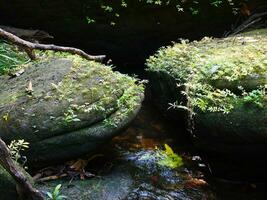 schön Wasserfall im Grün Wald im Dschungel, Wasserfall Textur, schön Wasserfall, szenisch Aussicht von Wasserfall, das neblig Wassertropfen steigend von ein mächtig schnell Wasser Strom Kaskadierung Über das Cliff foto