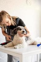 blonde Frau, die zu Hause einen Hund pflegt foto