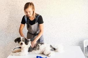 blonde Frau, die zu Hause einen Hund pflegt foto