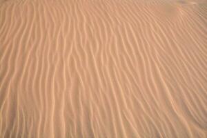 ein schließen oben von Sand im das Wüste foto