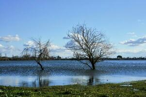 überflutet Felder nach groß Stürme foto