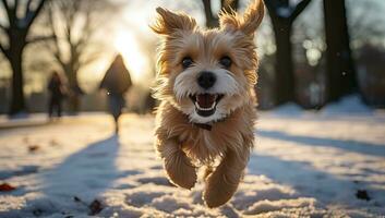 süß Hund Springen im das Schnee auf ein sonnig Winter Tag. ai generiert. foto