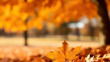 Ahorn Blätter im Herbst Park. ai generiert. foto