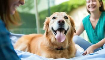 glücklich Hund Lügen auf Bett mit Eigentümer. ai generiert. foto