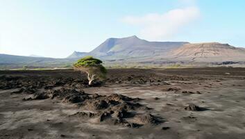 einsam Baum auf das schwarz vulkanisch Boden ai generiert foto