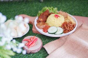 indonesisch Stil Gelb Reis mit gehackt Hähnchen im Weiß Teller auf Grün Gras Hintergrund foto