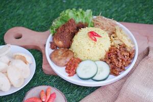 indonesisch Stil Gelb Reis mit gehackt Hähnchen im Weiß Teller auf Grün Gras Hintergrund foto