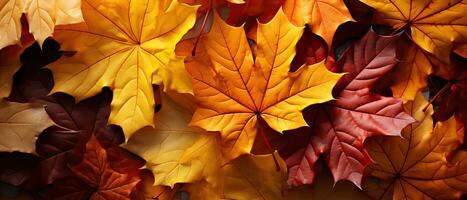 Herbst Ahorn Blätter Hintergrund, ai generiert foto