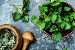 stechend Brennnesseln, Urtica medizinisch Kraut foto