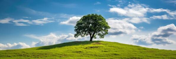 Landschaft Aussicht von einer groß Baum auf das oben von das Hügel mit Grün Gras auf ein Hang mit Blau Himmel und Wolken im das Hintergrund. generativ ai foto