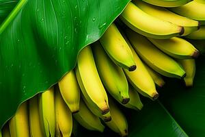 exotisch Frische reif Bananen einstellen gegen üppig Grün Banane Blätter ai generiert foto