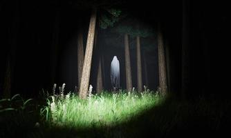 Geist, der von einer Laterne in einem Wald beleuchtet wird foto