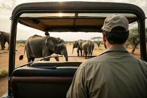 Elefant Hintergrund, Elefant hd ,Elefant Bilder herunterladen ai generiert foto