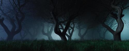 düsterer Hintergrund eines Waldes mit Nebel foto